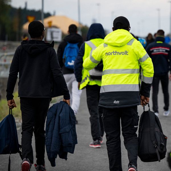 Flera Northvoltarbetare med väskor promenerar längs en väg, några bär reflexjackor där det står Northvolt på ryggen.